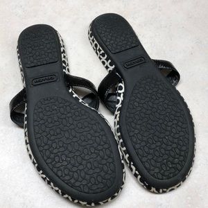 Coach Shoes - Coach Sandals Coach Shoes - Coach Sandals